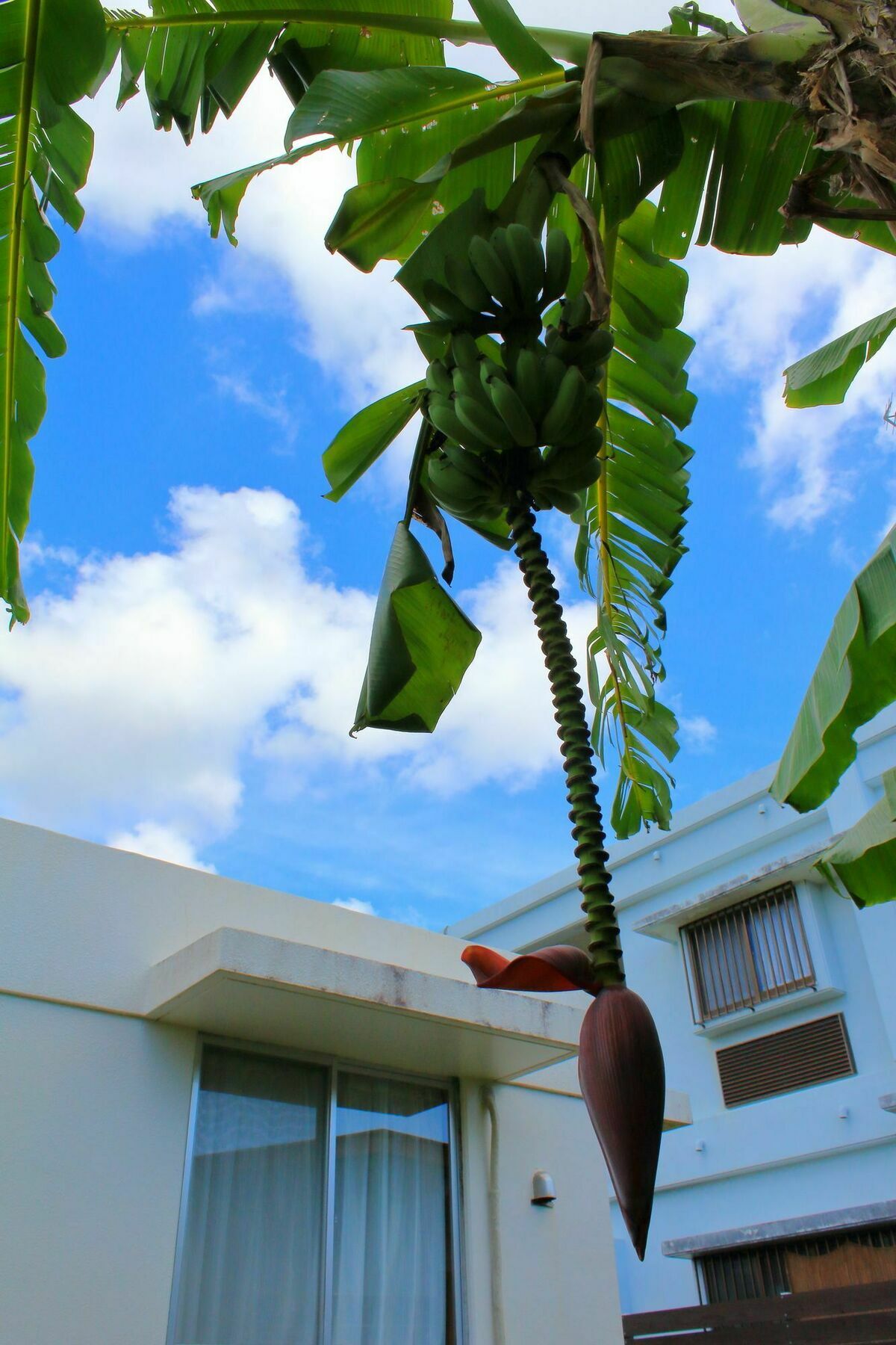 Motobu Cottage Nobaru ภายนอก รูปภาพ